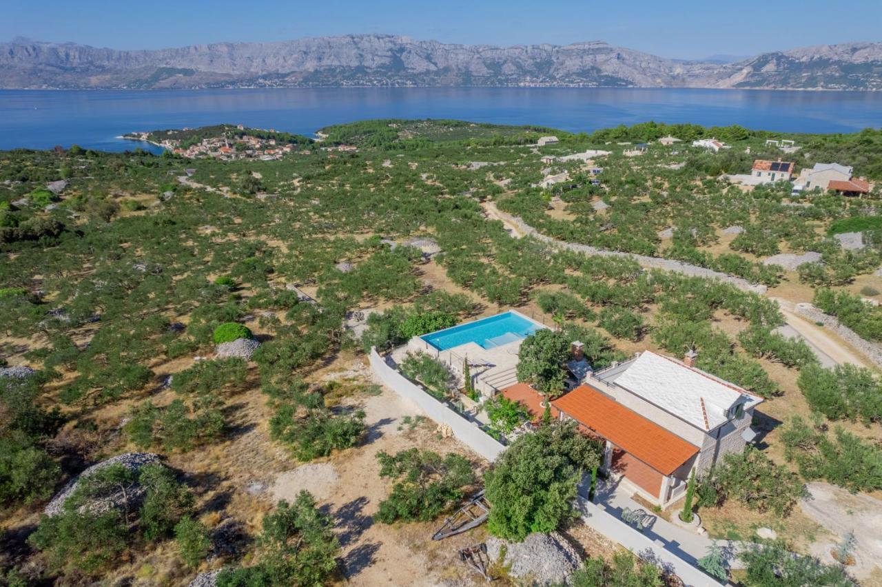 Olive Park House Brac Villa Povlja  Luaran gambar